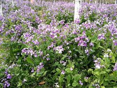 -白塘生态植物园