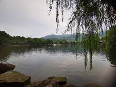 -荣家小吃(紫阳街店)