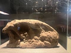 -世界恐龙谷景区