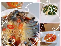 -煲来饱去冷水鱼