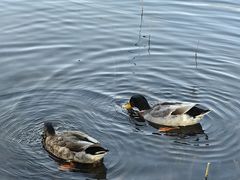 -吉林大学(前卫南区)