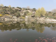 -北京西山国家森林公园