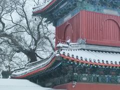 -北京艺术博物馆(万寿寺)