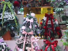 -懒鱼时光馆(沙坪坝店)