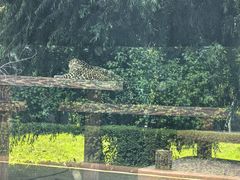 -齐齐哈尔龙沙动植物园