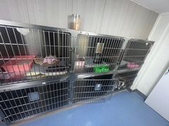 -佑安动物医院·全科·内窥镜中心(幸福巷店)