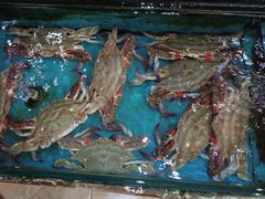 -小铜锣湾海鲜家常菜馆(河西店)