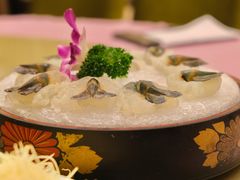 虾生-沙龙酒家