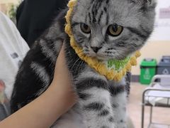 -美联众合动物医院·24h转诊中心