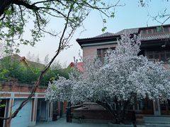 -成桂西餐厅·42年的味道(五大道疙瘩楼店)