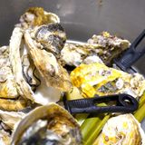 新开的平价宝藏生蚝店‖府城蚝记 