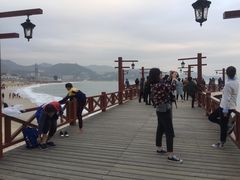-五谷芳乳鸽王（大梅沙总店C区）(网红打卡店)