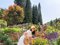 -深圳仙湖植物园-停车场