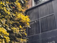 -徐家汇源景区-衡山坊