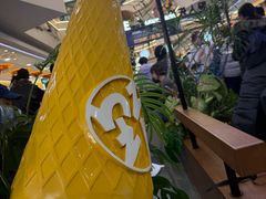-野人先生Gelato(上海长宁龙之梦店)