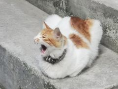 -玉椰林甜品店(创始店)