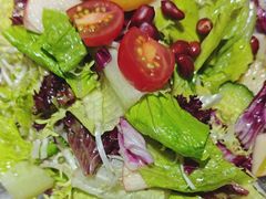 -阿西娅食府(中关村店)