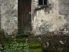 -东梓关景区村庄