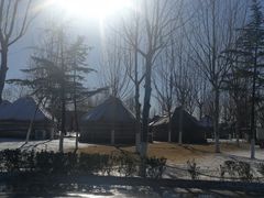 -九十九顶毡房(阜石路店)