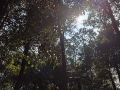 -东湖落雁景区