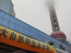 -上海大自然野生昆虫馆(东方明珠·爬宠昆虫探索中心)