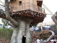 -杭州开元森泊度假乐园