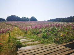 -保利石象湖景区