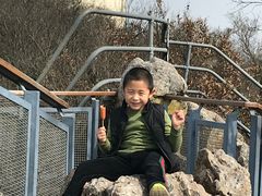 -紫金山山顶公园