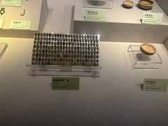 -台州博物馆