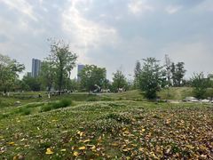 -桂溪生态公园