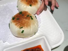 -南枝记