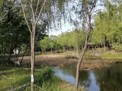 -东郊湿地公园