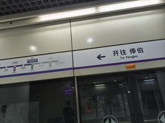 -琪喵猫屋·撸猫猫咖·猫舍