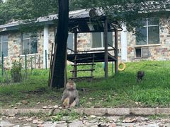 -哈尔滨北方森林动物园