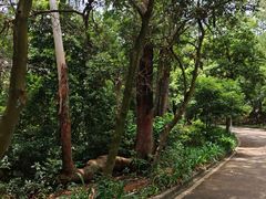 -大雁山风景区