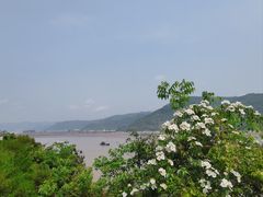-北岐滩涂