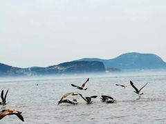 -海驴岛(荣成市)