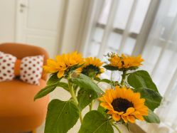 -JNK皮肤管理中心