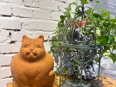 -粉灯牛腩牛杂煲·鸡煲(双井店)