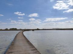 -盐城丹顶鹤湿地生态旅游区