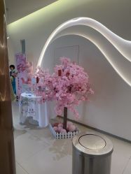 -哈喽美妈产后恢复中心(乐堤港店)