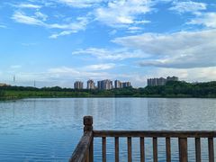 -飞来湖湿地公园