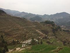 -紫鹊界梯田景区