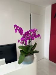 -安那般那皮肤年轻化ANAPANA