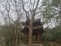 -采石矶景区