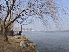 -如皋市龙游湖欢乐世界