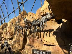-北京野生动物园