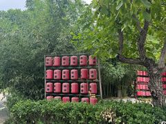 -中卫御苑福膳·养生局(圆明园店)