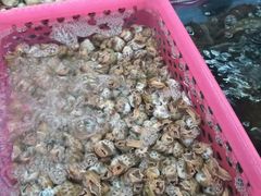 -春园海鲜广场D区6号(钟姐海鲜加工店)
