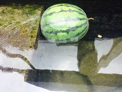 -泉乐坊步行街(烟酒特产平价超市店)